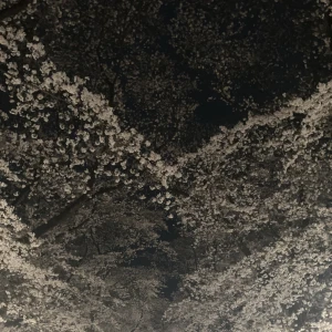 ‎🤍 あやです ‎🤍 今日います🙋‍♀️の写真1枚目