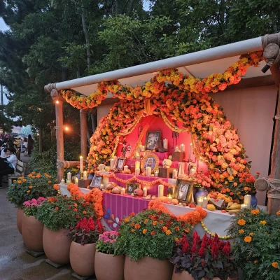 出勤してます！