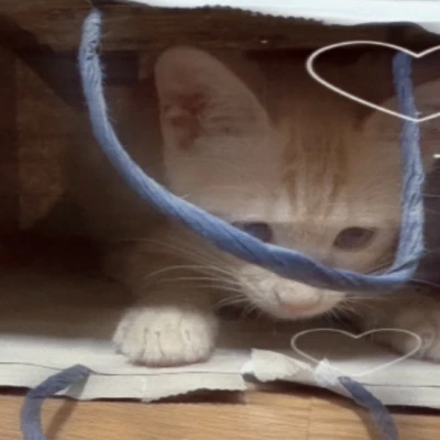 ゆあです⋆˚ʚɞ