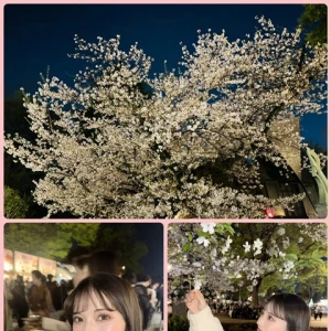 さくら🌸の写真3枚目