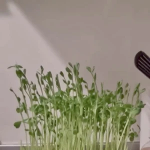 こんばんは‼️の写真2枚目