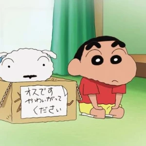 やほ！！の写真1枚目