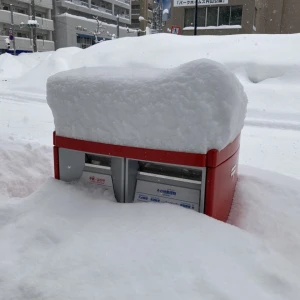 雪、全然降らなかったですね　2/11金曜日の写真1枚目