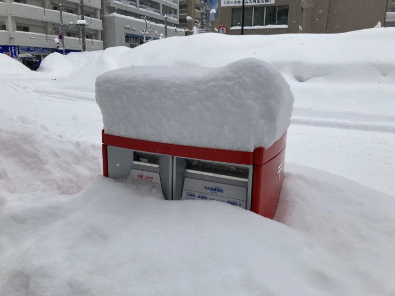 雪、全然降らなかったですね　2/11金曜日