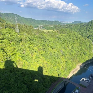 5.3🪄の写真1枚目