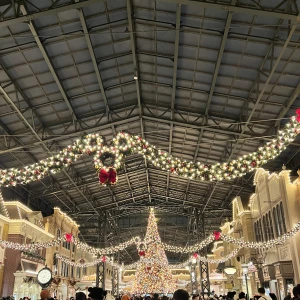 こんばんは！のあです⊂(ᴖ ̫ᴖ  )⊃の写真1枚目