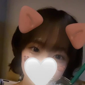 めいです🐶の写真1枚目
