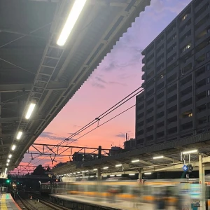 8/23③の写真1枚目