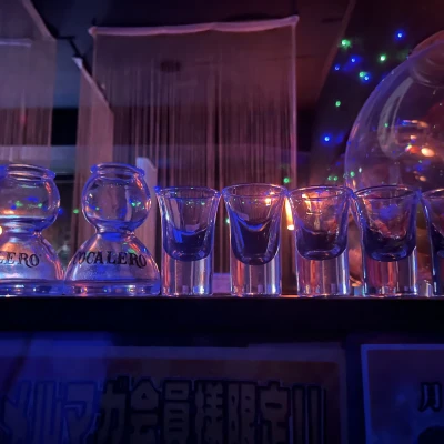 11/20(木) 20時半からいます🍲