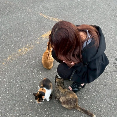 🐈🐈🐈🐈