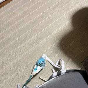 7/12①の写真1枚目