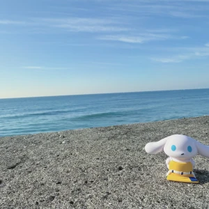 いますの写真1枚目