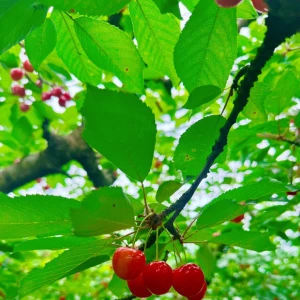 のの🍒21:00の写真1枚目