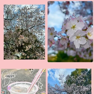 桜🌸ヘアセット🌸の写真2枚目