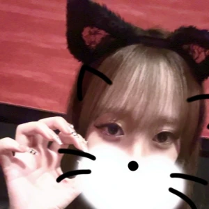 猫にゃんの写真1枚目