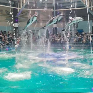 8/7①の写真1枚目
