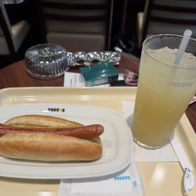 🌭🌭🌭🌭