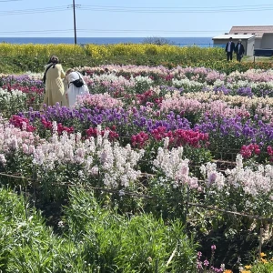 おはようございます。ゆまです🧸🥀の写真1枚目