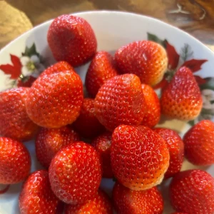 こんばんは🪼の写真1枚目