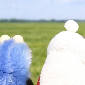 毎日早寝早起きで眠たすぎる(  ¯꒳​¯ )ᐝの写真1枚目