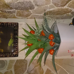 (無題)の写真1枚目