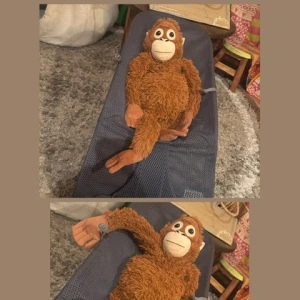 イタリアン🇮🇹モンキー🐒の写真1枚目