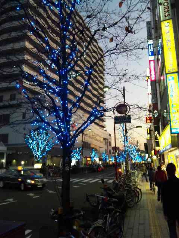 田無の街路樹は 