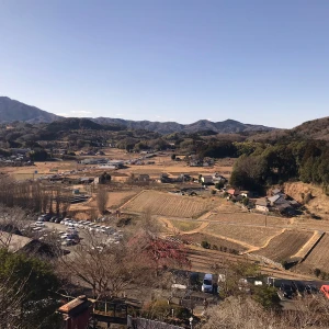 1/12の写真1枚目