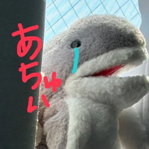 💗あちゅい💗の写真2枚目