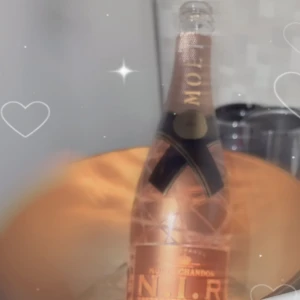 昨日のシャンパン達！ありがとうでしたᐡ т · т ᐡ🩶の写真1枚目