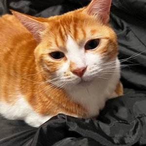 🐱ྀི6.10🐱ྀིの写真1枚目