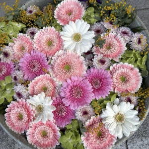 こんにちは、ゆりあですの写真1枚目