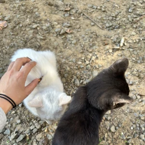おはようございます。ゆまです🧸🥀の写真1枚目