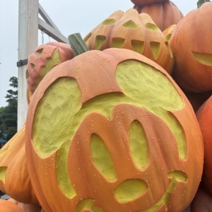 10/7の写真1枚目