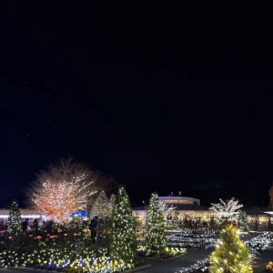 今日も出勤〜☔️の写真1枚目