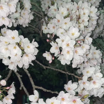おはようございます☀️