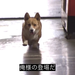 あやかです🍑の写真1枚目