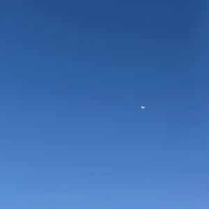 ୨୧の写真1枚目