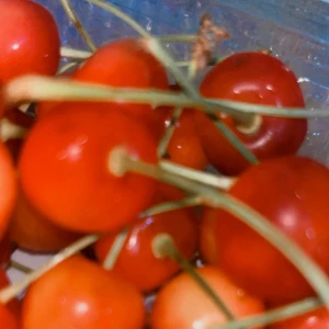 さくらんぼ🍒´-の写真1枚目