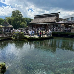 9月12日の写真2枚目