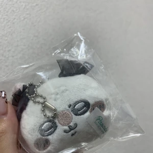 こんばんは、ぽちですの写真1枚目