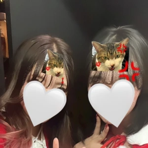 12/29の写真1枚目