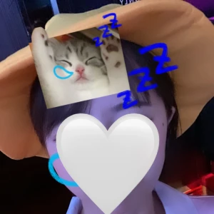 めいです！本日19:00からいます🐶の写真1枚目