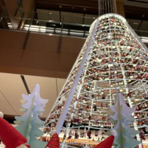 さらんです🩵🪽の写真1枚目