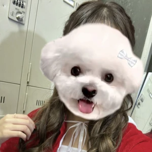 こんばんは🫶の写真1枚目