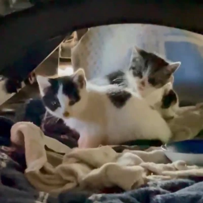 おはようございます😊