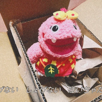 ‎🤍 あやです ‎🤍 今日います🙋‍♀️