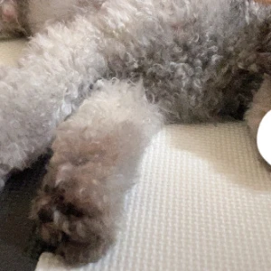 ♡出勤♡の写真1枚目