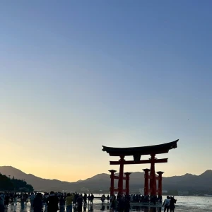 こんばんは🦁の写真1枚目