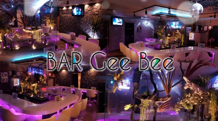 Preview image published by bar-geebee.com